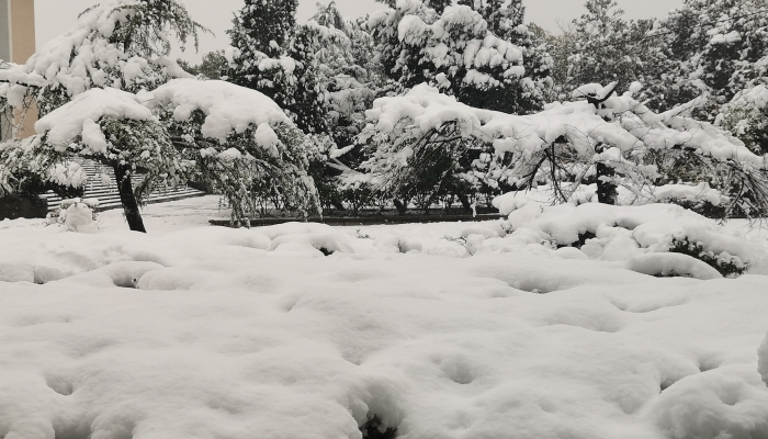 急措施有哪些 应对暴雪天气准备工作有哪些Long8国际平台登录入口暴雪天气路面应(图1)