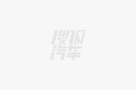 立叫金鱼汽车！又一家主机厂成(图1)